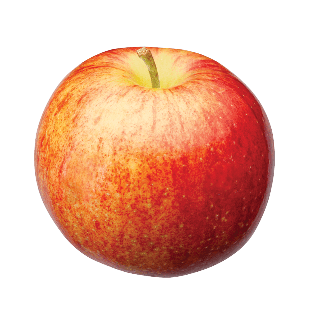 Michigan Jonagold Apple
