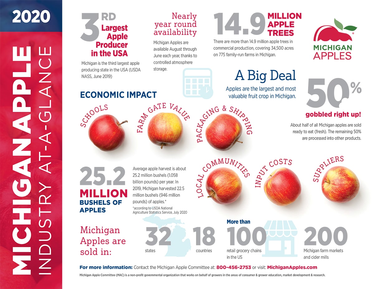 2020 Apple Industry Infographic