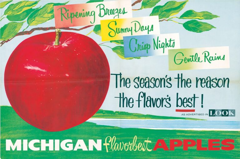 Learn About Michigan Apples Michigan Apples
