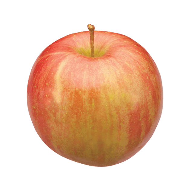 Michigan Fuji Apple