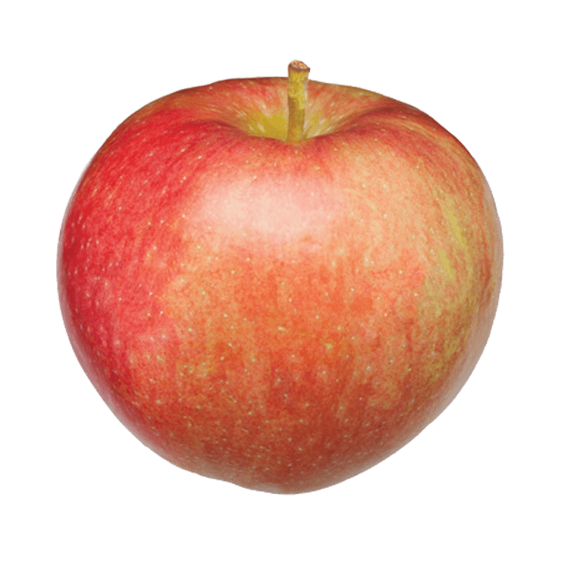 Michigan Paula Red Apple