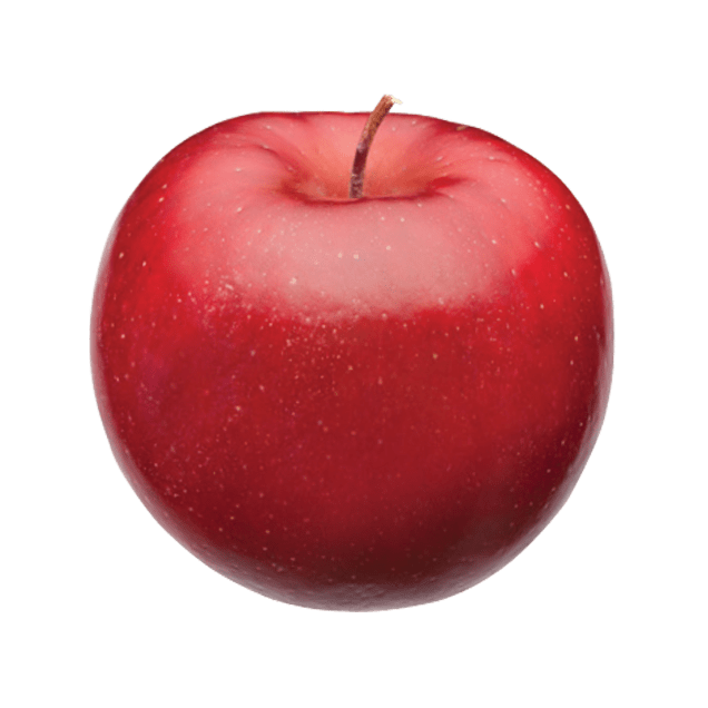 Michigan Rome Apple