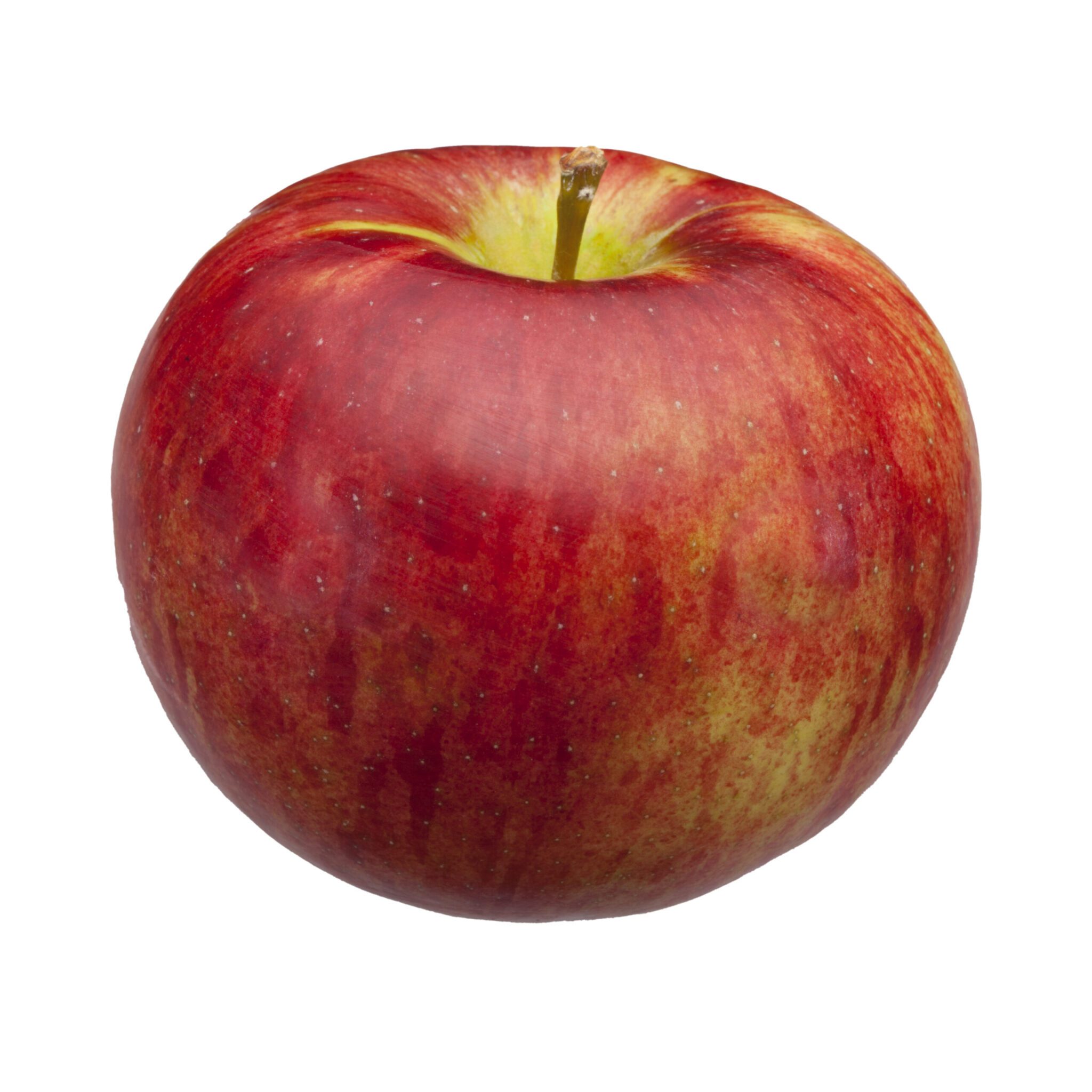 Michigan Cortland Apple