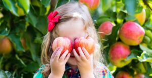 Michigan Apple Harvest - Savor the Fall Season (Little Girl Holding Apples)