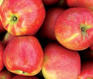 Managed Apple Varieties