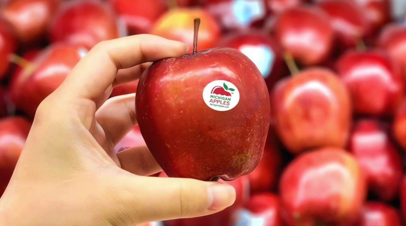 Fall for Flavor: A Michigan Apple Shopping & Cooking Guide