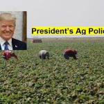 Tariff shifts article Specialty crop industry braces for policy shifts