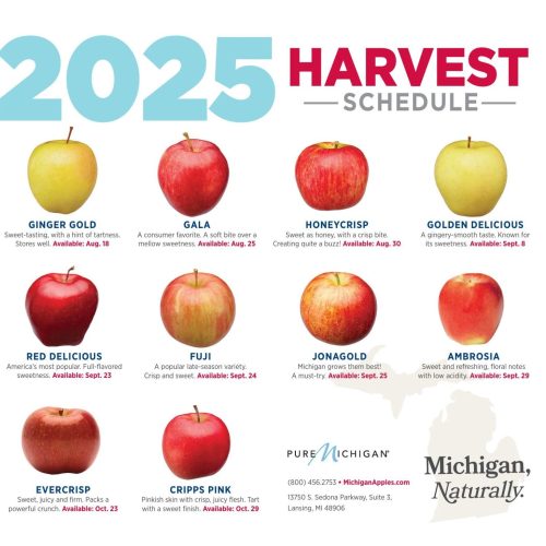 2025 Michigan Apple Harvest Schedule 2025 Michigan Apple Harvest Schedule