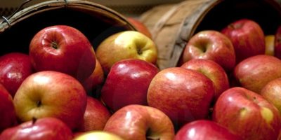 Apple Pic Apple Pic