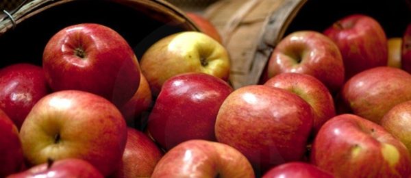 Apple Pic Apple Pic