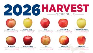 2026 Michigan Apple Harvest Schedule 2026 Michigan Apple Harvest Schedule
