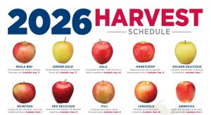 2026 Michigan Apple Harvest Schedule 2026 Michigan Apple Harvest Schedule