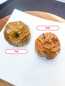 Baking with apples: Gala started breaking down first, resulting in a softer texture; Fuji had a firmer bite, while Gala had a softer bite and broke down more quickly. 